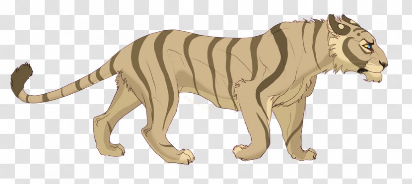 Tigon Liger Tiger Lion Drawing - Tail - Creative Transparent PNG