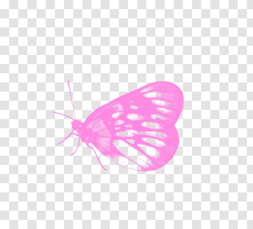 Graphic Computer Wallpaper - Wing - Butterfly Transparent PNG