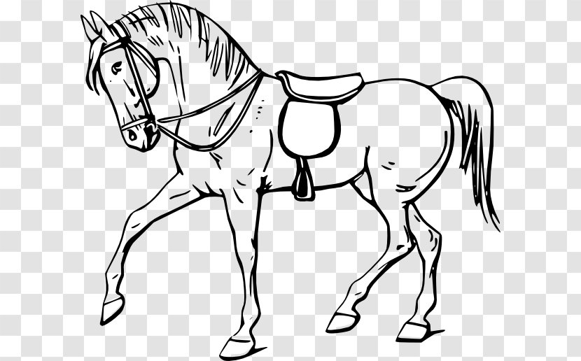 Tennessee Walking Horse Drawing Coloring Book Clip Art - Pack Animal - Free Images Transparent PNG
