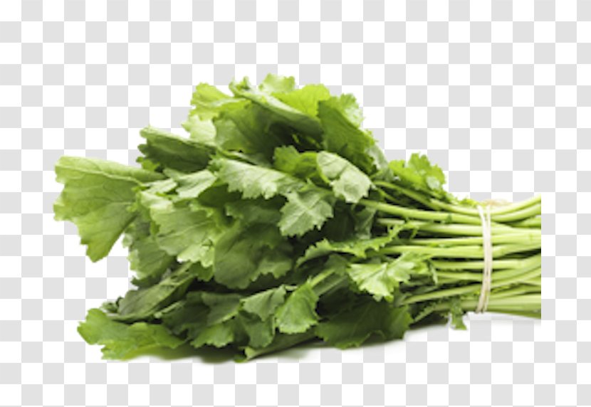 Coriander Spring Greens Vegetarian Cuisine Parsley Rapini - Papaya Salad Transparent PNG