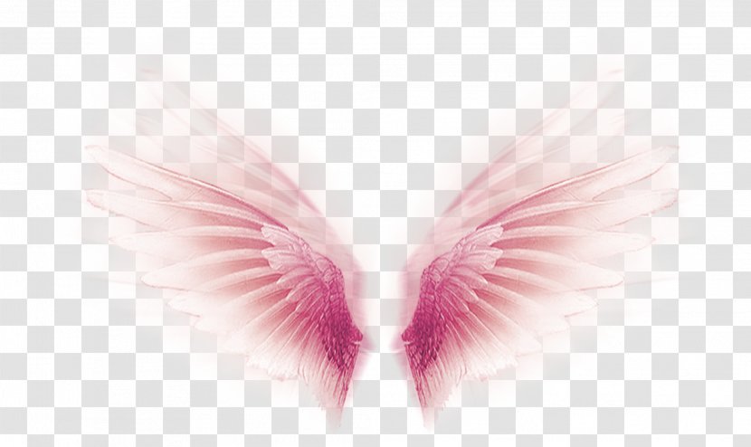 Wing - Flower - Pink Fantasy Wings Decorative Pattern Transparent PNG