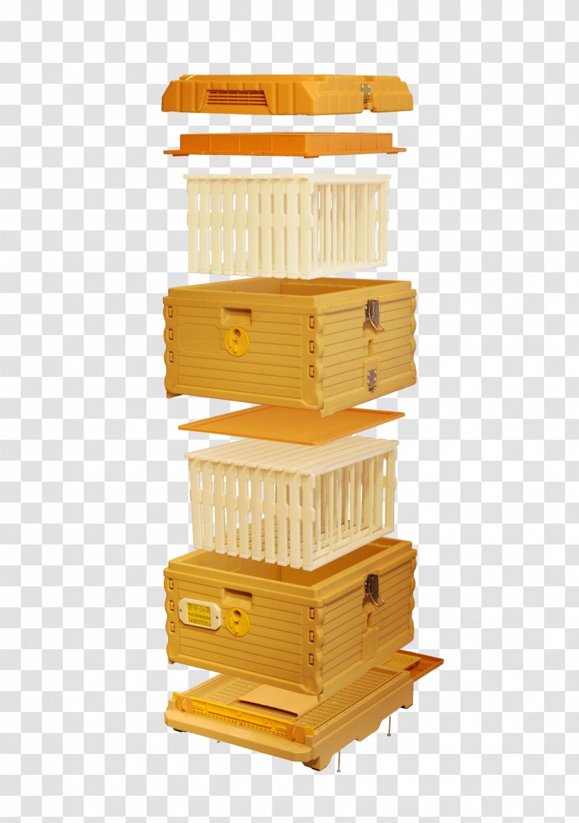 Western Honey Bee Beehive Langstroth Hive Beekeeping - Box Transparent PNG