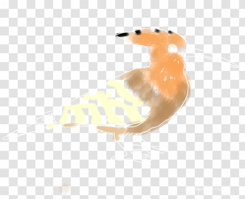 Canidae Dog Snout Desktop Wallpaper Beak - Orange Transparent PNG