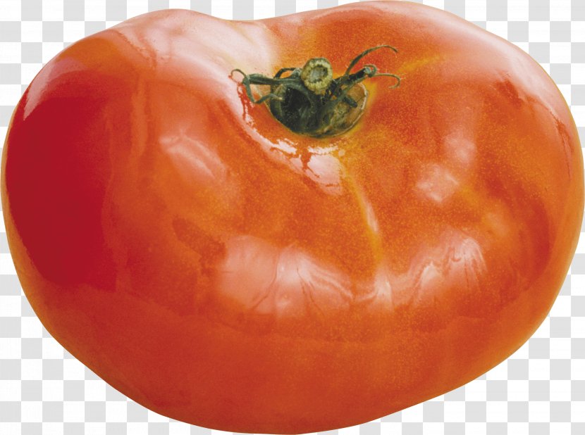 Cherry Tomato Salsa Bell Pepper - Peppers And Chili - Image Transparent PNG