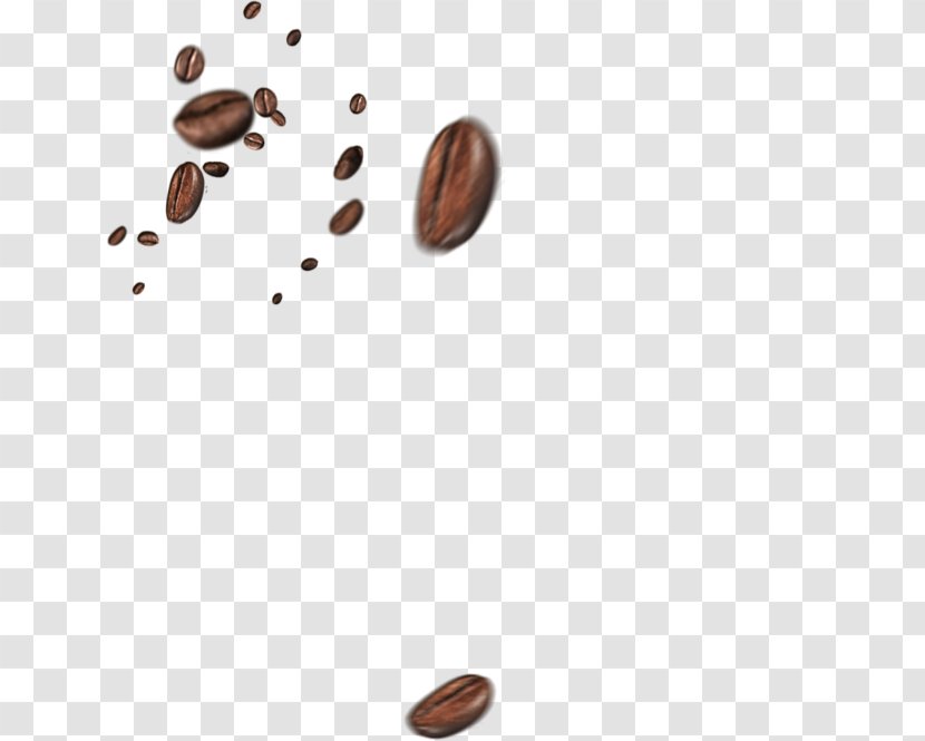 Coffee Bean Cafe Cup - Brown - Beans Transparent PNG