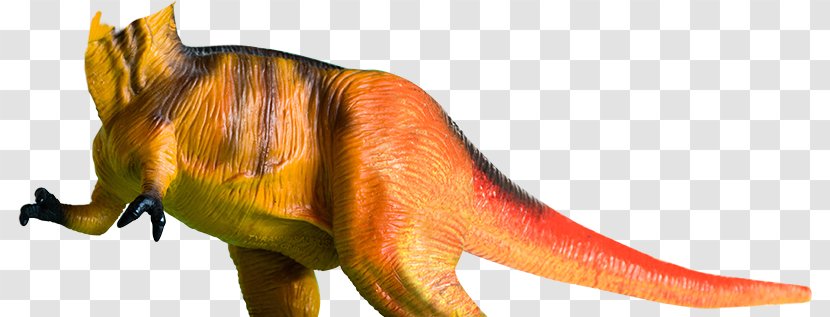 Tyrannosaurus Question Child Animal - Dinosaur - Totally Awesome Transparent PNG