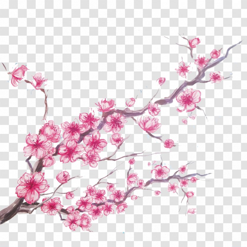 Cherry Blossom - Branch - Cartoon Painted Transparent PNG
