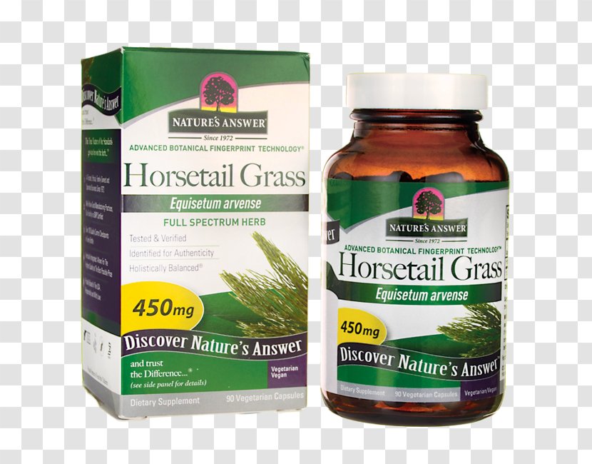 Valerian Herbalism Dietary Supplement Pueraria Mirifica - Vegetable - Horsetail Transparent PNG