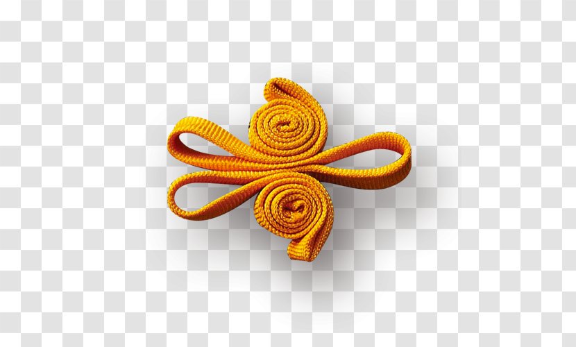 Orange Shoelace Knot Rope - Spiral - Bow Transparent PNG