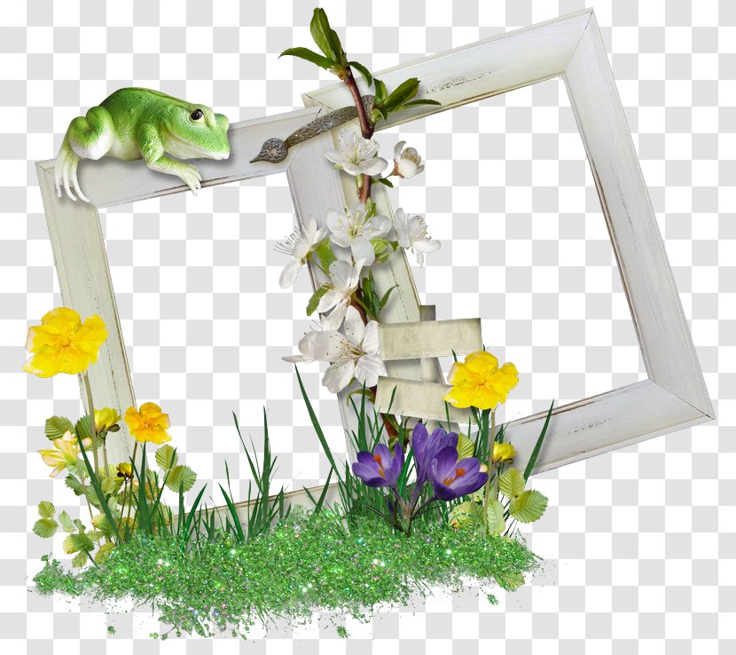 Floral Design Blog Download - Photography - Picture Frame Transparent PNG