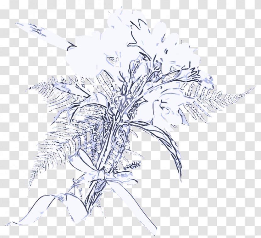 Plant Leaf Line Art Drawing Tree - Twig Branch Transparent PNG