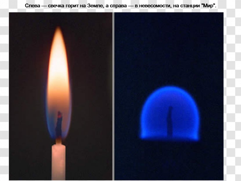 Flameless Candles Heat Wax - Fire - Mum Transparent PNG