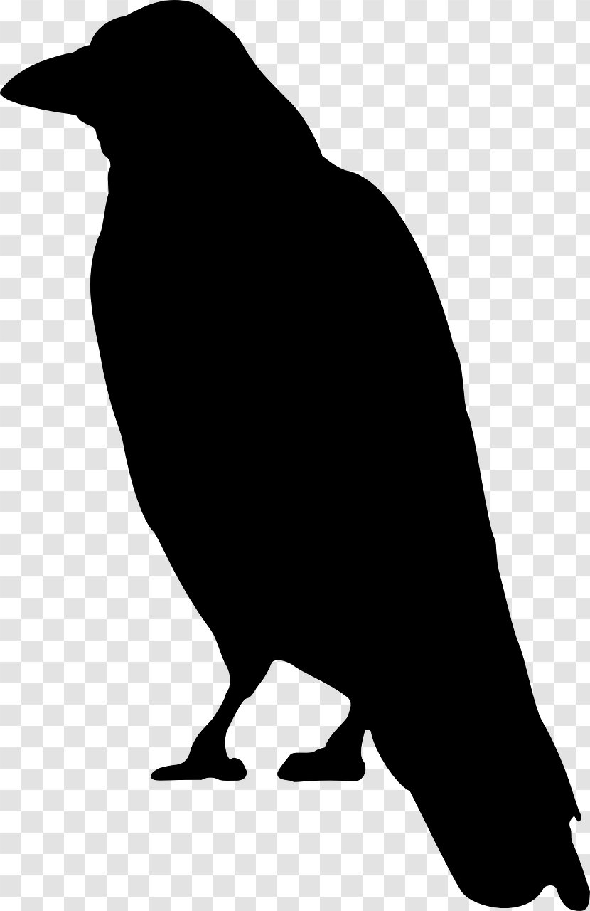 Crow Cartoon Clip Art Transparent PNG