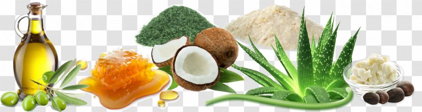 Ingredient Natural Skin Care Vegetable Vegetarian Cuisine - Coconut Oil Transparent PNG