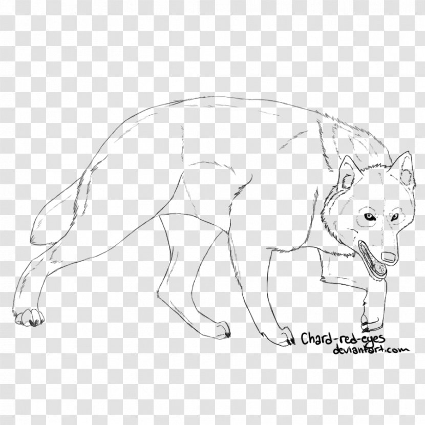 Whiskers Gray Wolf Cat Red Fox /m/02csf - Line Art - Eyes Transparent PNG