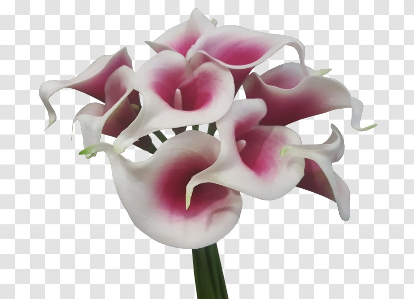 Arum-lily Cut Flowers Artificial Flower Bouquet - Purple - Callalily Transparent PNG