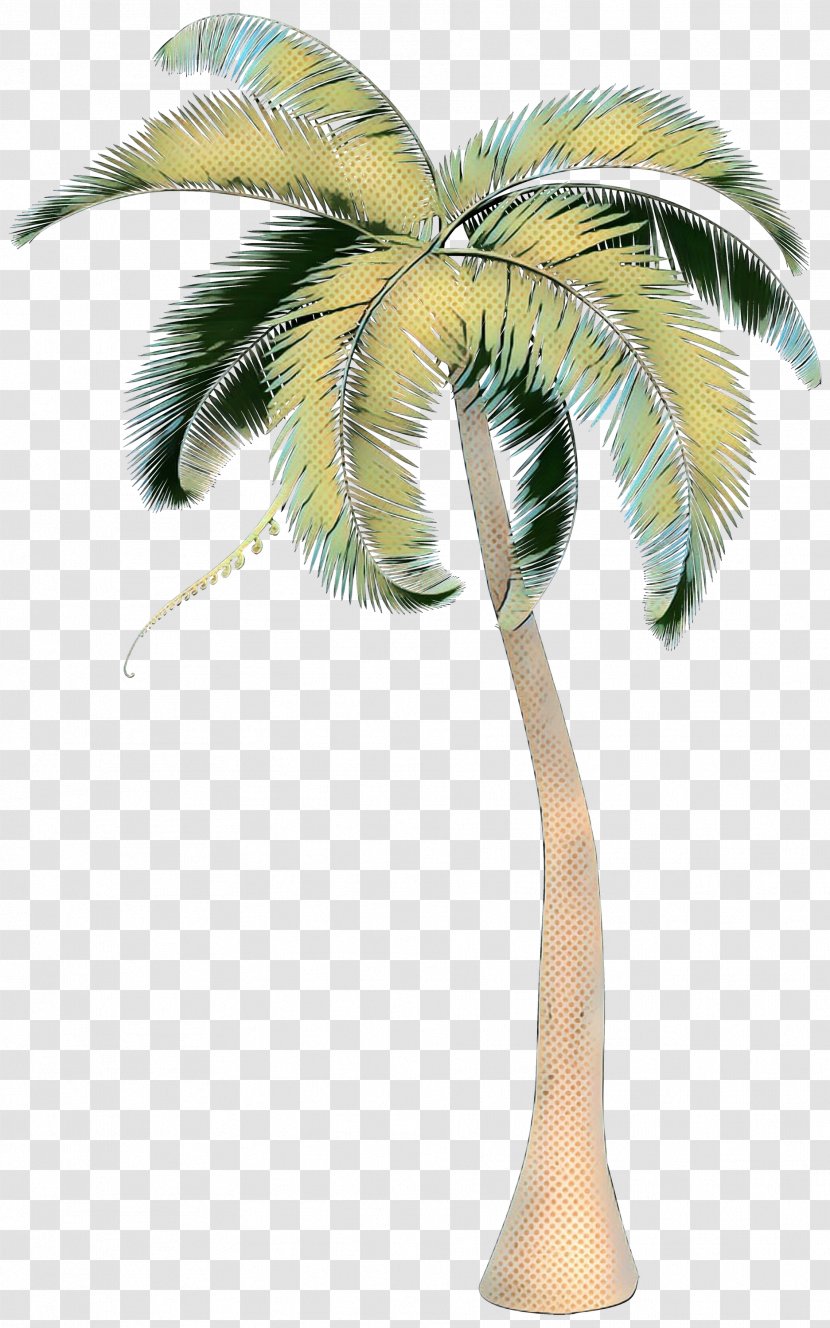 Asian Palmyra Palm Coconut Trees Date Borassus - Plant - Woody Transparent PNG