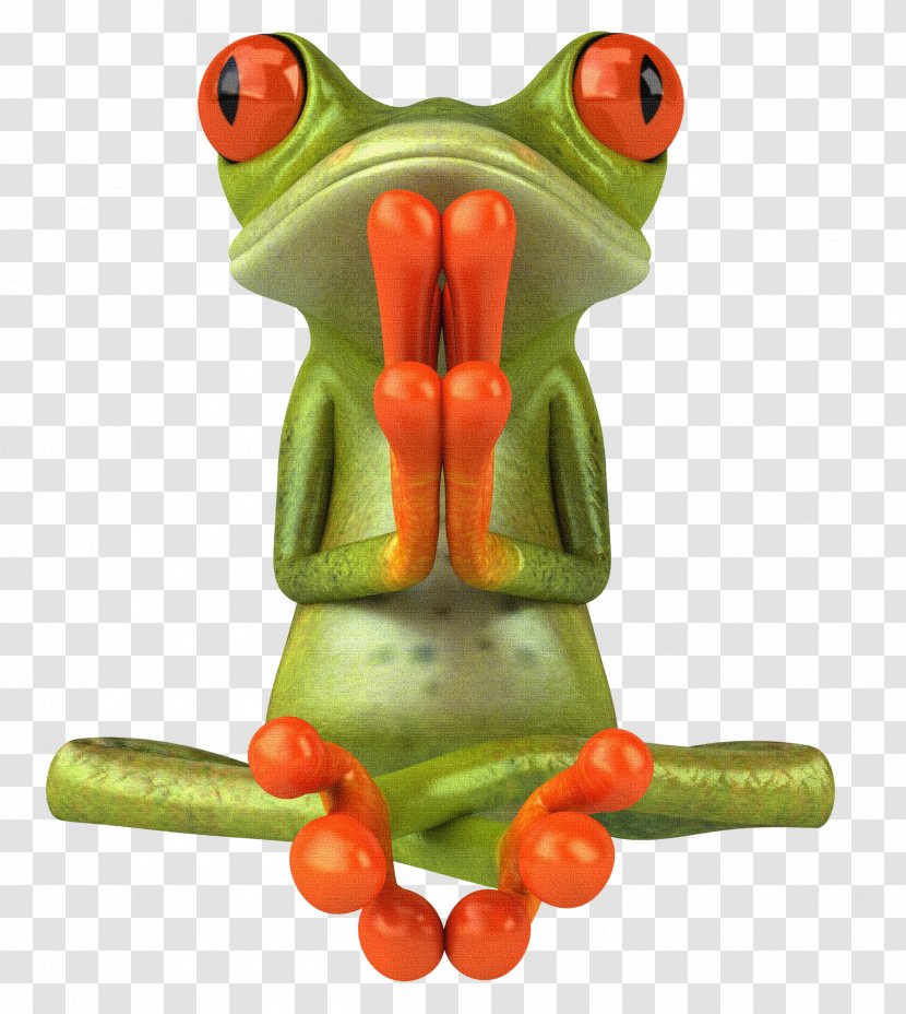 Frog Photography Zen Clip Art - Amphibian Transparent PNG