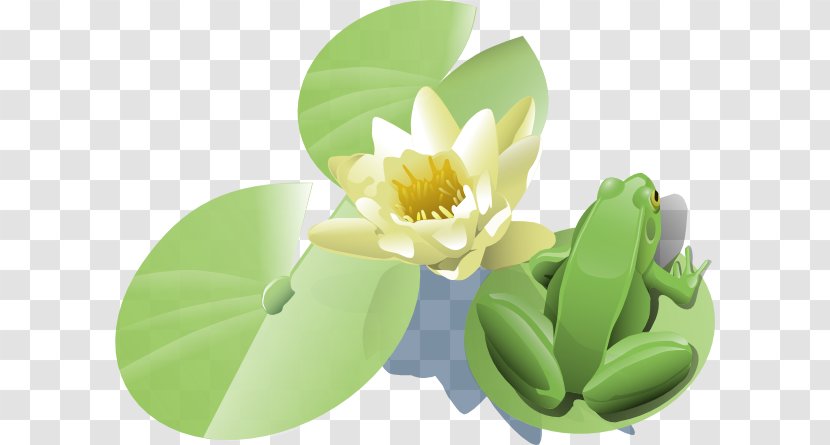 Frog Water Lilies Clip Art - Petal - On Lily Pad Tattoo Transparent PNG