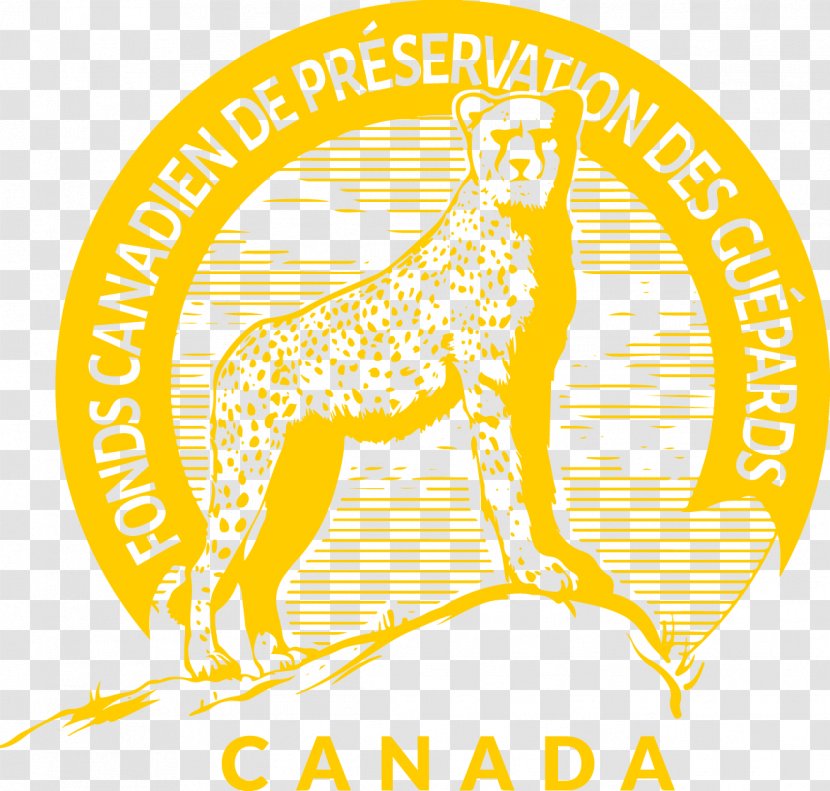 Non-profit Organisation Organization Columbidae Association Canidae - Fundraising - Franch Transparent PNG