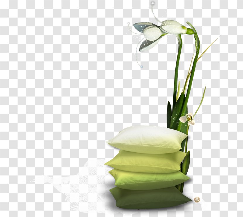 Floral Design Cut Flowers Alternative Health Services - Flowering Plant - Flower Transparent PNG