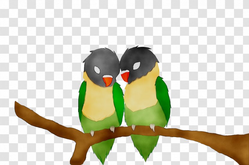 Pet Beak Parakeet - Parrot - Vertebrate Transparent PNG