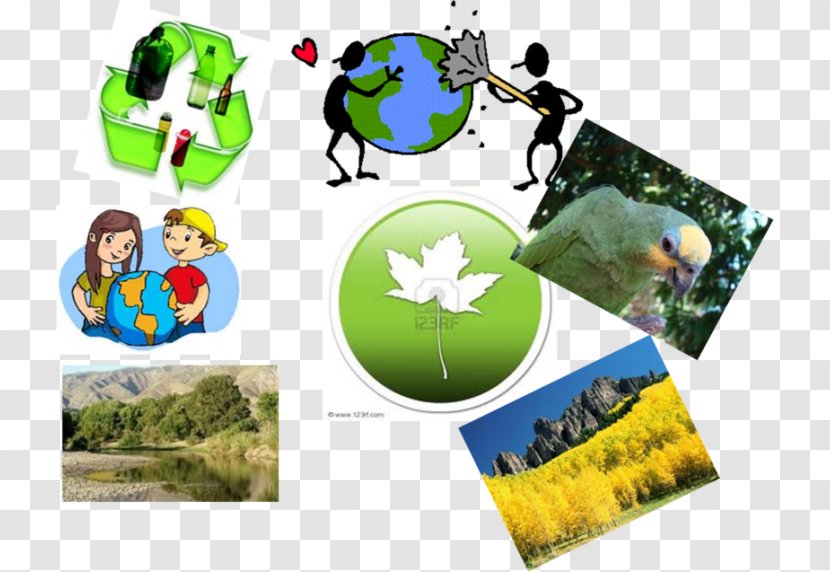 Conservation Movement Natural Environment Ecology Clip Art - Resource - Medio Ambiente Transparent PNG