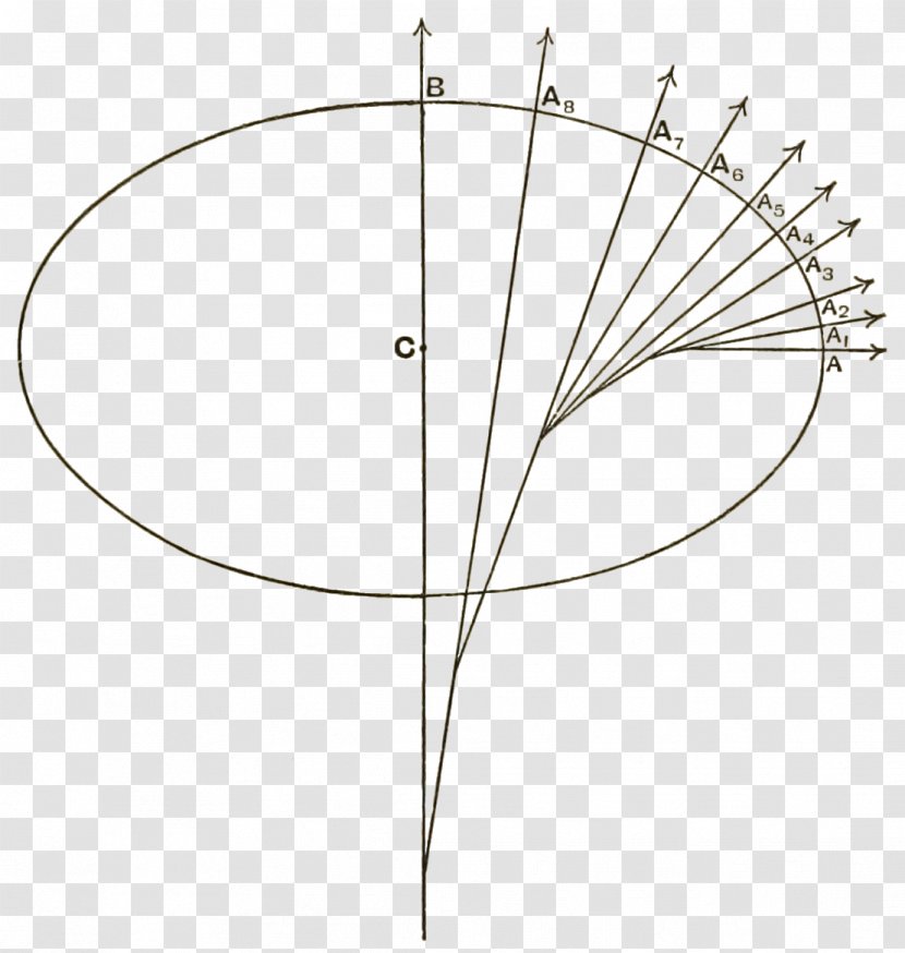 Circle Angle Tree Leaf Plant - Fig Transparent PNG