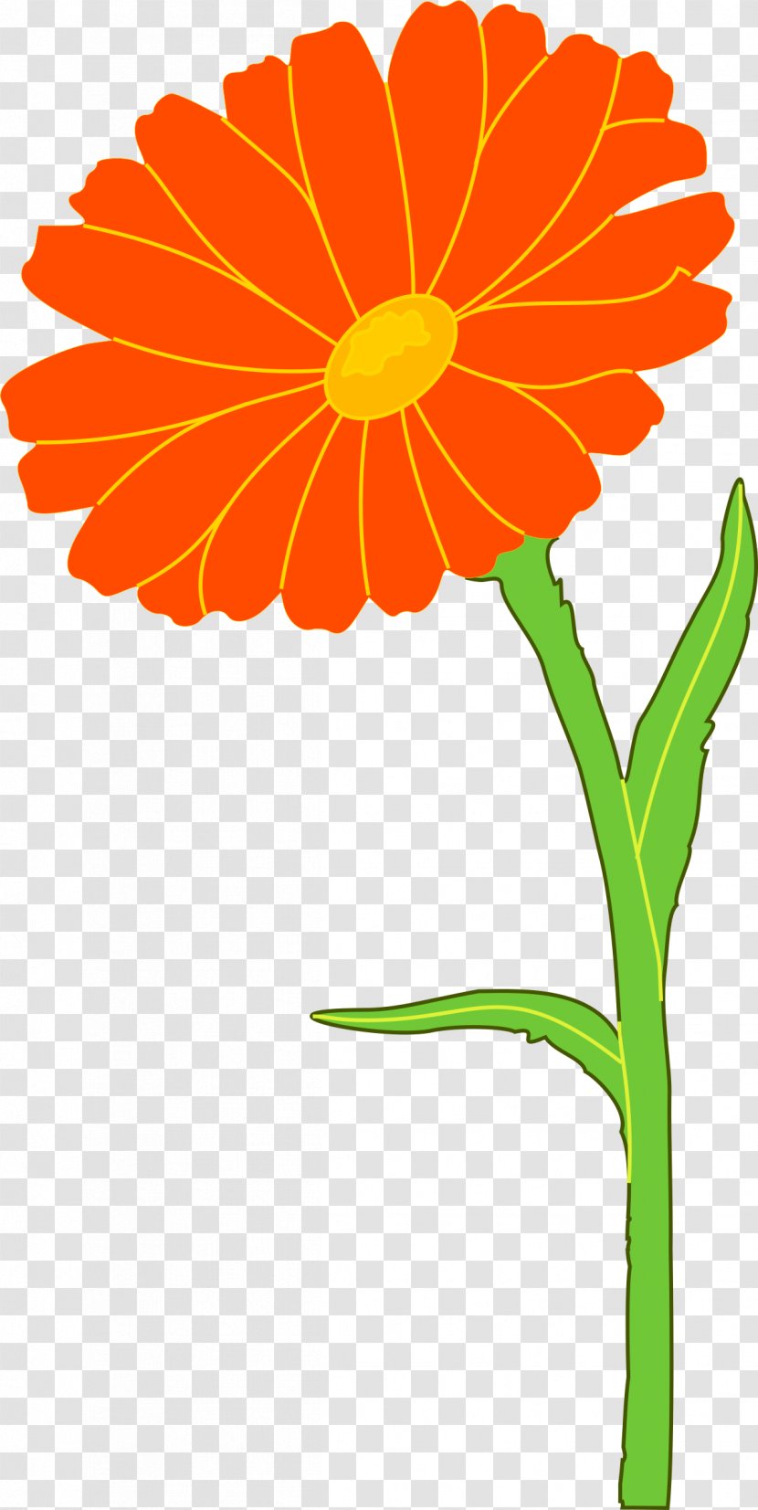 Mexican Marigold Calendula Officinalis Flower Clip Art Transparent PNG