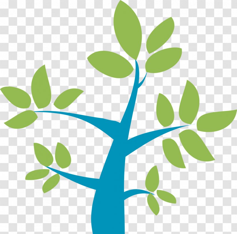 Genesis HR Solutions Professional Employer Organization Human Resource Business Broward Health - Tree Transparent PNG