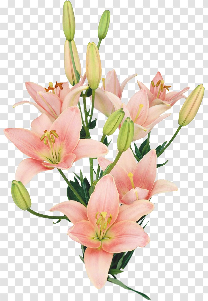Flower Bouquet Lilium Clip Art - Floral Design - Lily Transparent PNG