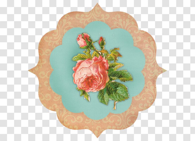 Rose Floral Design Cut Flowers Petal - Platter Transparent PNG