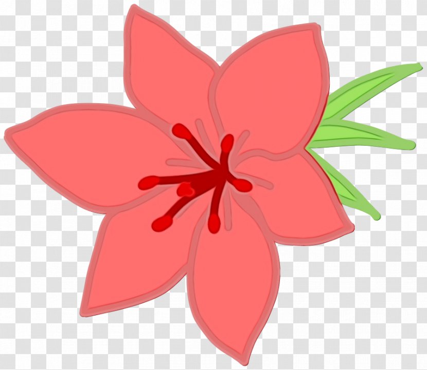 Plants RED.M - Redm - Wildflower Pedicel Transparent PNG