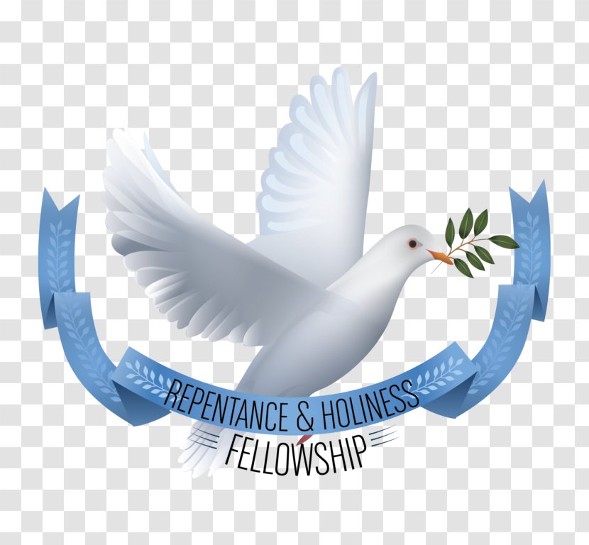 Ducks Geese And Swans Brand Bird - Logo - Peace Transparent PNG