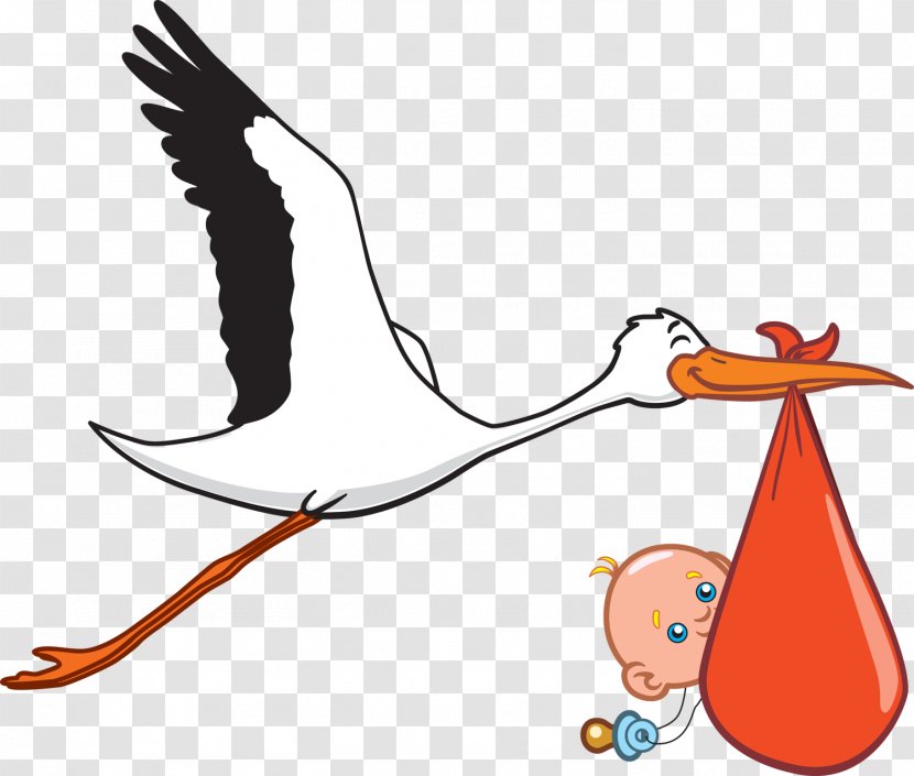 Infant Ciconia Clip Art - Baby Announcement - Flamingo Transparent PNG