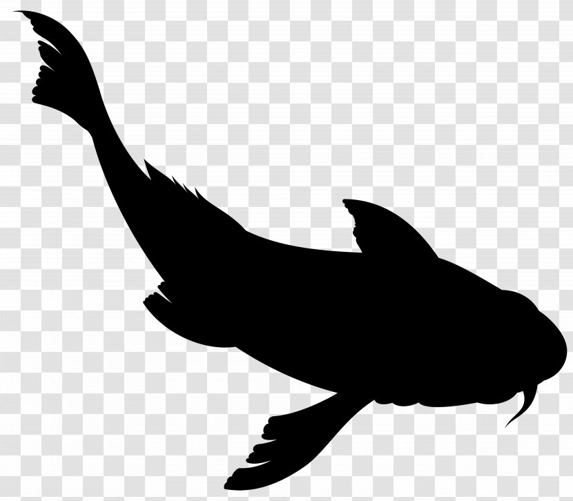 Dolphin Clip Art Fauna Silhouette Beak - Fish - Tail Transparent PNG