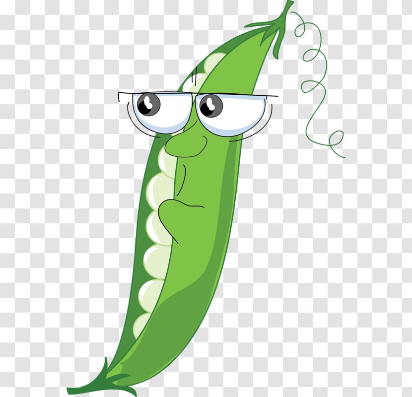 Snow Pea Vegetable Clip Art - Artwork Transparent PNG