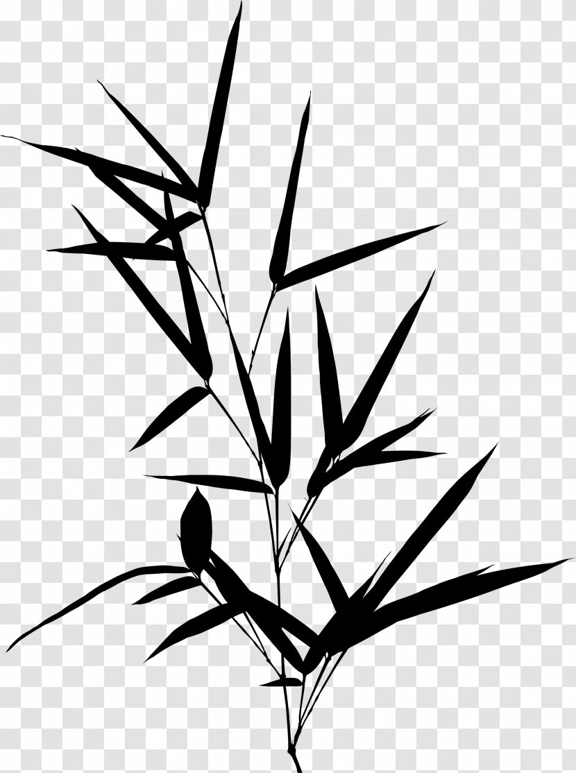 Twig Clip Art Symmetry Plant Stem Leaf - Herbaceous Transparent PNG