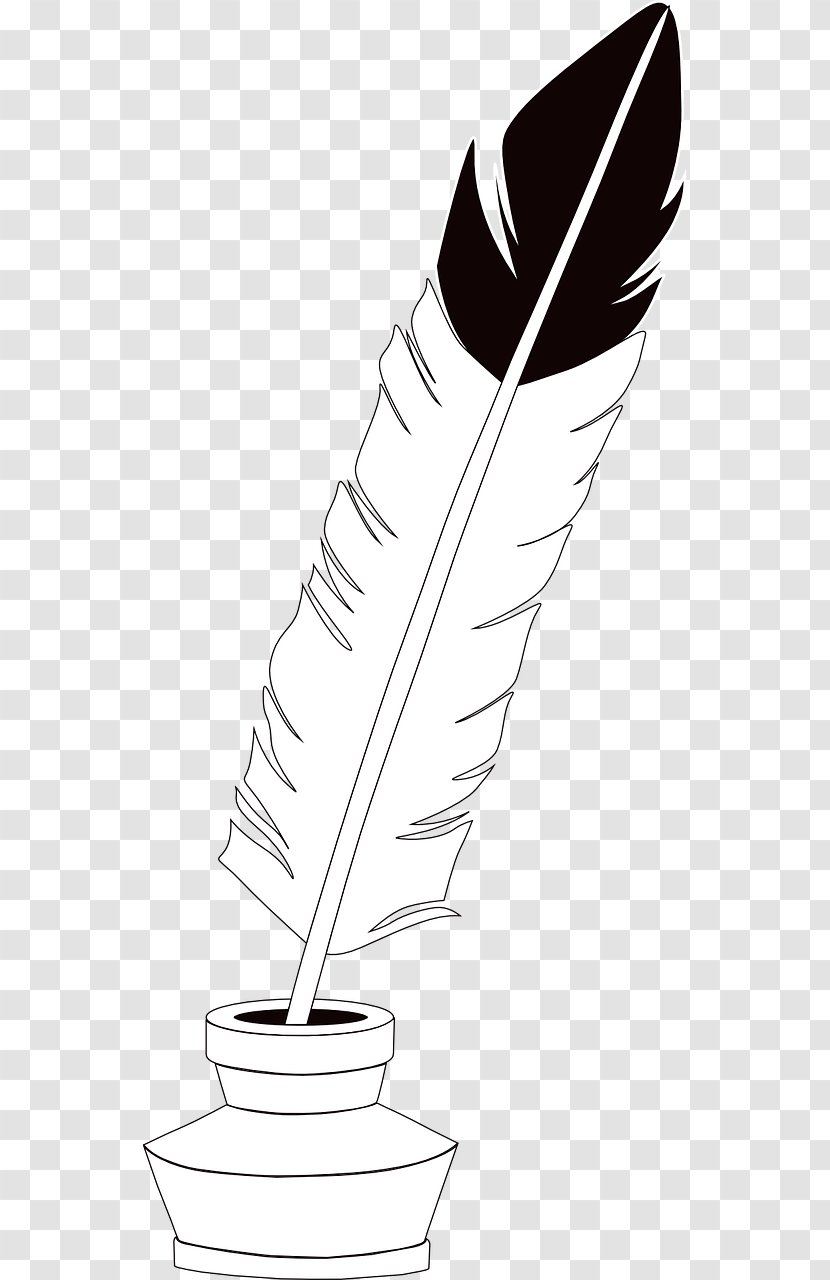 Ink Quill Clip Art - Drawing - Feather Transparent PNG