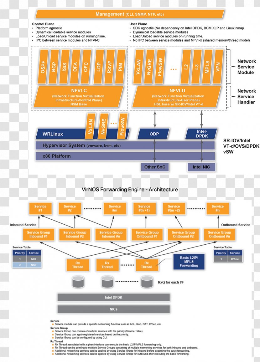 Organization Diagram Line - Area Transparent PNG