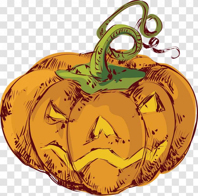 Pumpkin Calabaza Gourd - Commodity - Grimace Transparent PNG