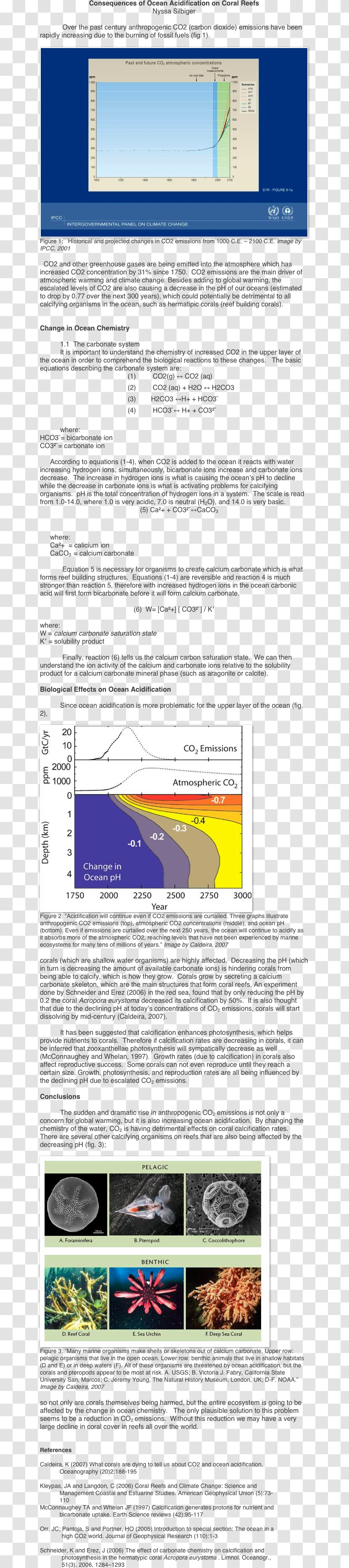 Web Page Humpback Grouper Screenshot Line - Text Transparent PNG