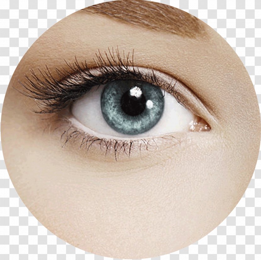 Eyelash Extensions Make-up Eyebrow Tattoo - Eye Liner - Face Transparent PNG