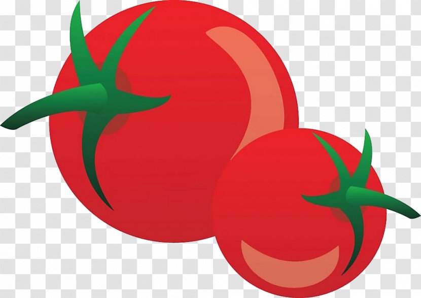 Tomato Juice Vegetable Cartoon - Carrot Transparent PNG