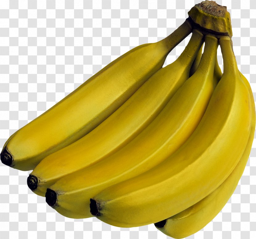 IPhone SE Bananaphone Banana Industry Fruit - Iphone Se Transparent PNG