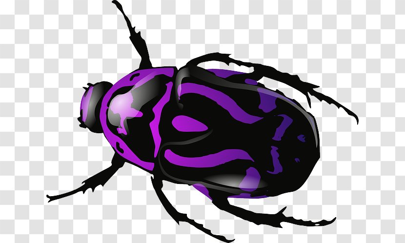 Beetle Download Clip Art - Purple - Insect Transparent PNG