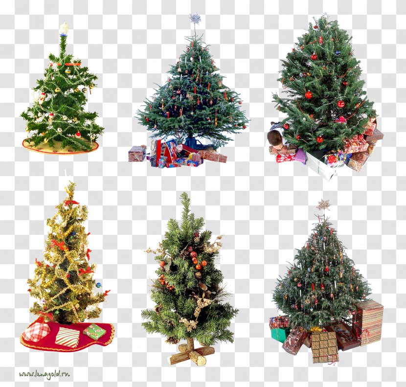 New Year Tree Christmas Ornament - Fir Transparent PNG