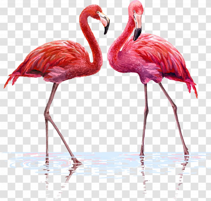 Flamingo Wall Decal Tapestry Interior Design Services - Bird - One Pair Of Flamingos Transparent PNG