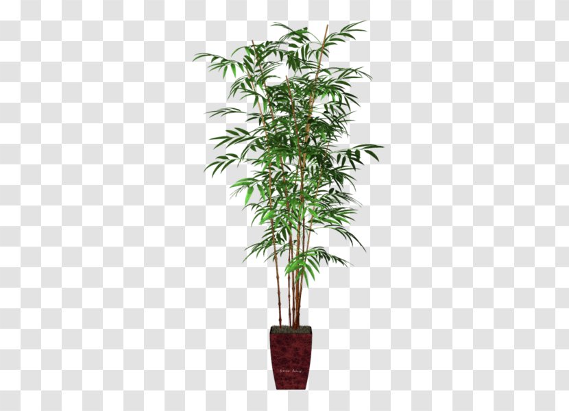 Areca Palm Houseplant Flowerpot Bamboo Veitchia - Fiddleleaf Fig Transparent PNG