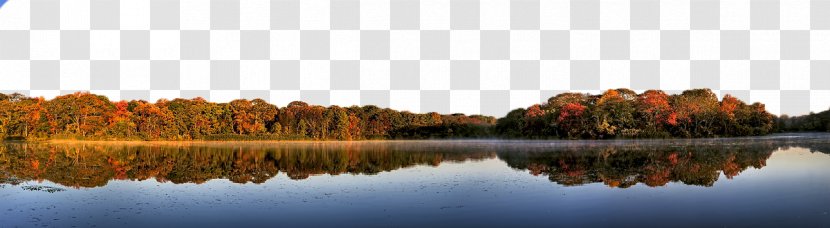 Shore Landscape Lake Autumn - Tree Transparent PNG